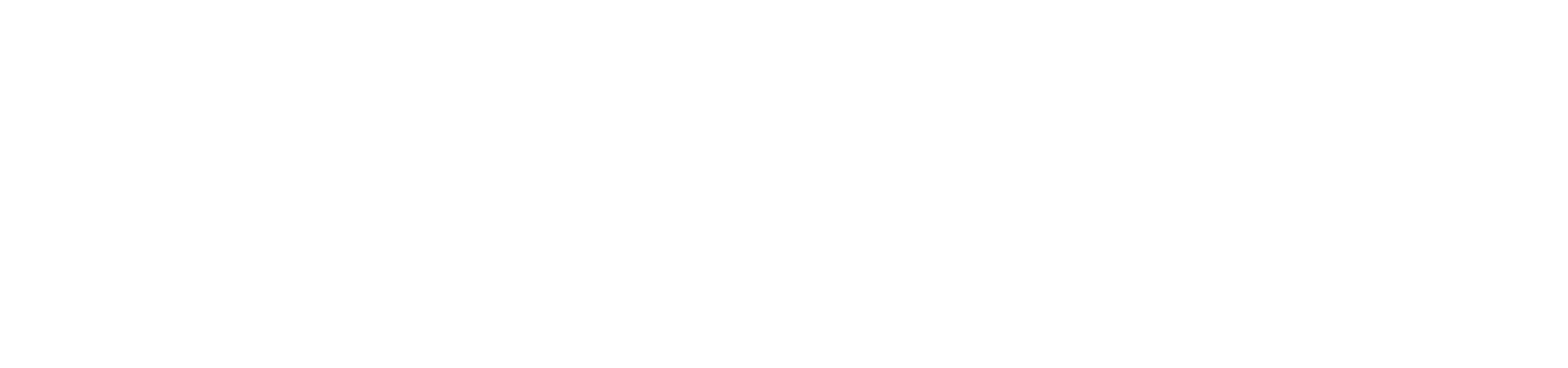 Streeterville Realty